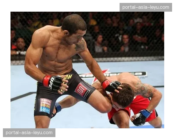 UFC 301筹备进入最后阶段,里约热内卢市政府确认安保方案 UFC 301筹备进入最后阶段,里约热内卢市政府确认安保方案