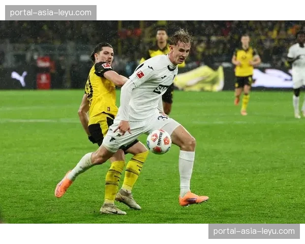 VAR争议再现：多特蒙德对阵霍芬海姆两次点球判罚分析